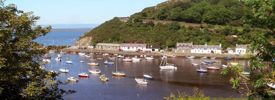 Rosebud Cottage Romantic Cottage For A Couple Fishguard Exteriör bild